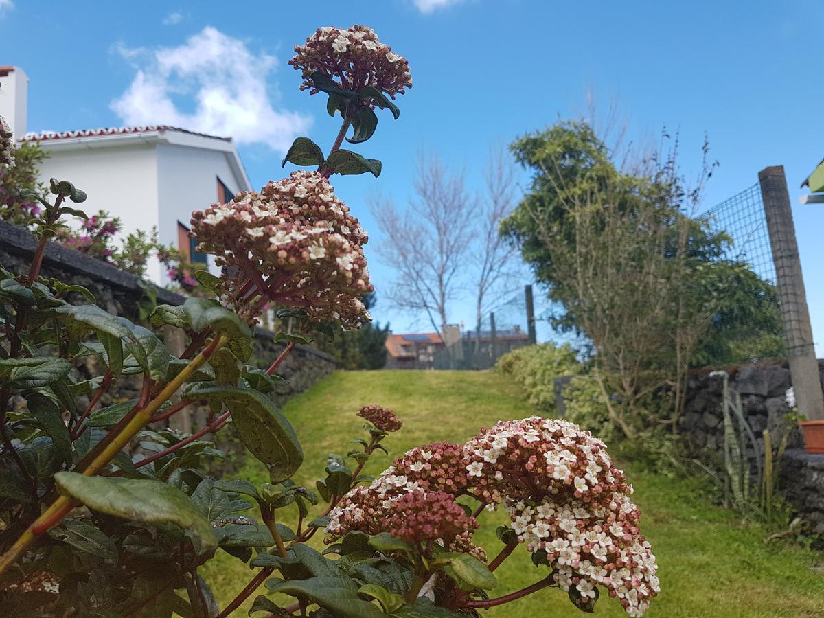 Stonewood Lodge Al São Vicente Ferreira Buitenkant foto